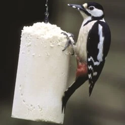 Nachfüllpackung Energiekuchen 3 X 500 Ml -Vogel Futter Geschaft 10022 2 2 1