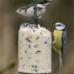 Variationspaket Mit 12 Energiekuchen 1000 Ml -Vogel Futter Geschaft 10040 1 1 1