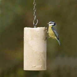 Variationspaket Mit 12 Energiekuchen 1000 Ml -Vogel Futter Geschaft 10042 3 1