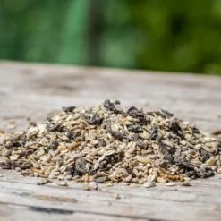 Rotkehlchen-Delikatessen -Vogel Futter Geschaft 12059 1