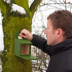 Eichhörnchen-Futterautomat ,,Alberni” -Vogel Futter Geschaft 30305 1 2 2