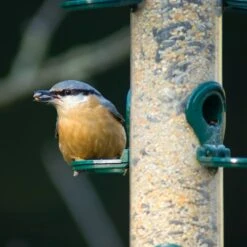 Futtersäule Metall 38 Cm Grün -Vogel Futter Geschaft 31040 5