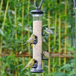 Vogel Futter Geschaft 9 Vogel Futter Geschaft -Vogel Futter Geschaft 31096 1 2