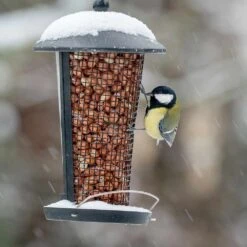 Futtersäule „Edessa“ -Vogel Futter Geschaft 31306 3 2