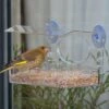 Fenster-Futtertisch „Rhodos“ -Vogel Futter Geschaft 31322 1 2