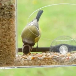 Energiereiche Samen Deluxe Für Vögel -Vogel Futter Geschaft 31325 11205