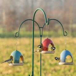 „Vierno“ Taverne Rot -Vogel Futter Geschaft 34343 34344 34345 1 2