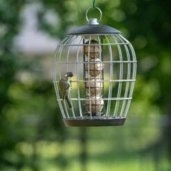 Meisenknödelhalter Mit Schutzkäfig „Aura“ -Vogel Futter Geschaft 350030119 aura fat ball feeder with guardian qm 6235