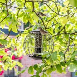 Schutz-Futtersäule Für Kleine Vögel „Athena“