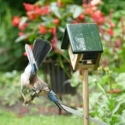 Erdnussbutterglas-Halter „Cork“ Auf Pfahl -Vogel Futter Geschaft 35131 8