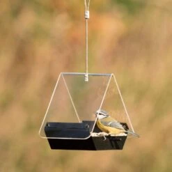 Futterhaus „Perth“ -Vogel Futter Geschaft 35133 2