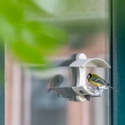 Fenster-Futtertisch - Eichelform -Vogel Futter Geschaft 351790121 jvg 1148