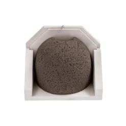 Mehlschwalbennest Einzeln, Abnehmbar -Vogel Futter Geschaft 901150120 2