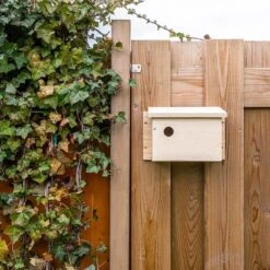System-Nistkasten Sperling – 34mm -Vogel Futter Geschaft 901670120 house sparrow multi box middle 34mm sw low res 9507