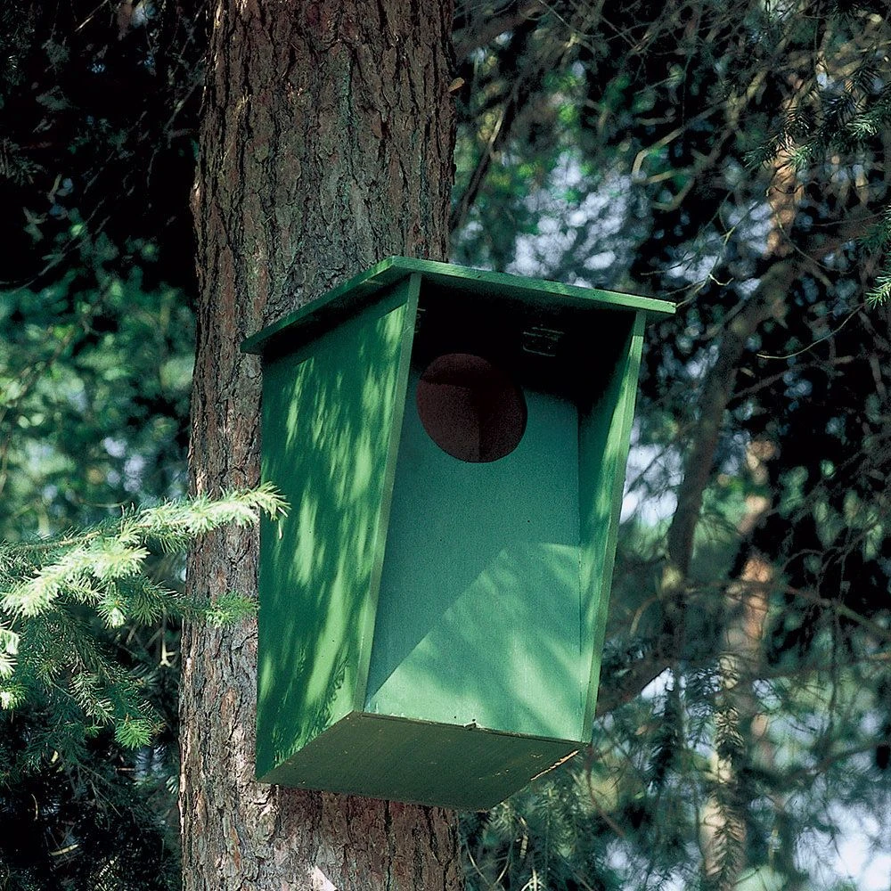 Nistkasten Waldkauz 130 Mm 4 Nistkasten Waldkauz 130 Mm – Bild 2
