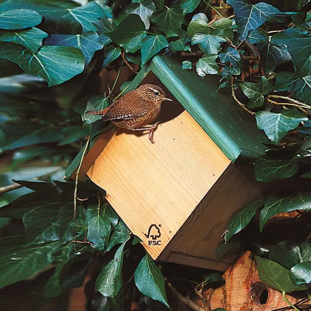 Nistkasten Für Zaunkönig „Peru“ Halboffen 3 Nistkasten Für Zaunkönig „Peru“ Halboffen