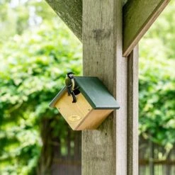 Nistkasten Für Zaunkönig „Peru“ Halboffen 10 Nistkasten Für Zaunkönig „Peru“ Halboffen -Vogel Futter Geschaft 905010119 jvg 8394
