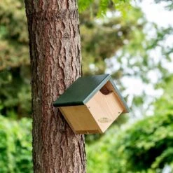 Nistkasten Für Zaunkönig „Peru“ Halboffen 8 Nistkasten Für Zaunkönig „Peru“ Halboffen -Vogel Futter Geschaft 905010119 jvg 8404
