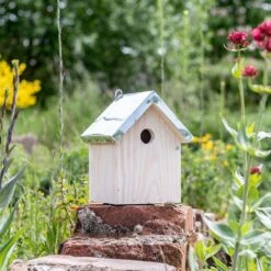 Nistkasten „Helsinki" Ø28 Mm -Vogel Futter Geschaft 909760119 jvg 7178
