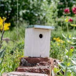 Nistkasten „Rovaniemi" Ø 32 Mm -Vogel Futter Geschaft 909770119 jvg 7185