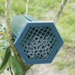 Nistkasten Solitärbiene