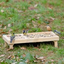 Kombinationstisch 9 Kombinationstisch -Vogel Futter Geschaft 93010 1
