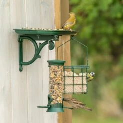 Green+ Premium Streufutter 2,5kg (biologischer Anbau) -Vogel Futter Geschaft 93011 5 1 2