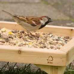 Energiereiches Streufutter 2,5kg -Vogel Futter Geschaft 93035 12005 2