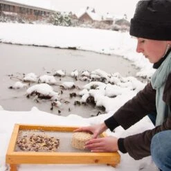 Stehender Futtertisch -Vogel Futter Geschaft 93035 3