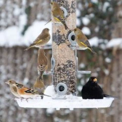 Auffangschale „Maxi“ -Vogel Futter Geschaft 94061 large feeder tray 33000 conqueror 1