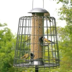 Futtersäulen-Schutz „Maximum“ Grau 7 Futtersäulen-Schutz „Maximum“ Grau -Vogel Futter Geschaft 94549 2 1