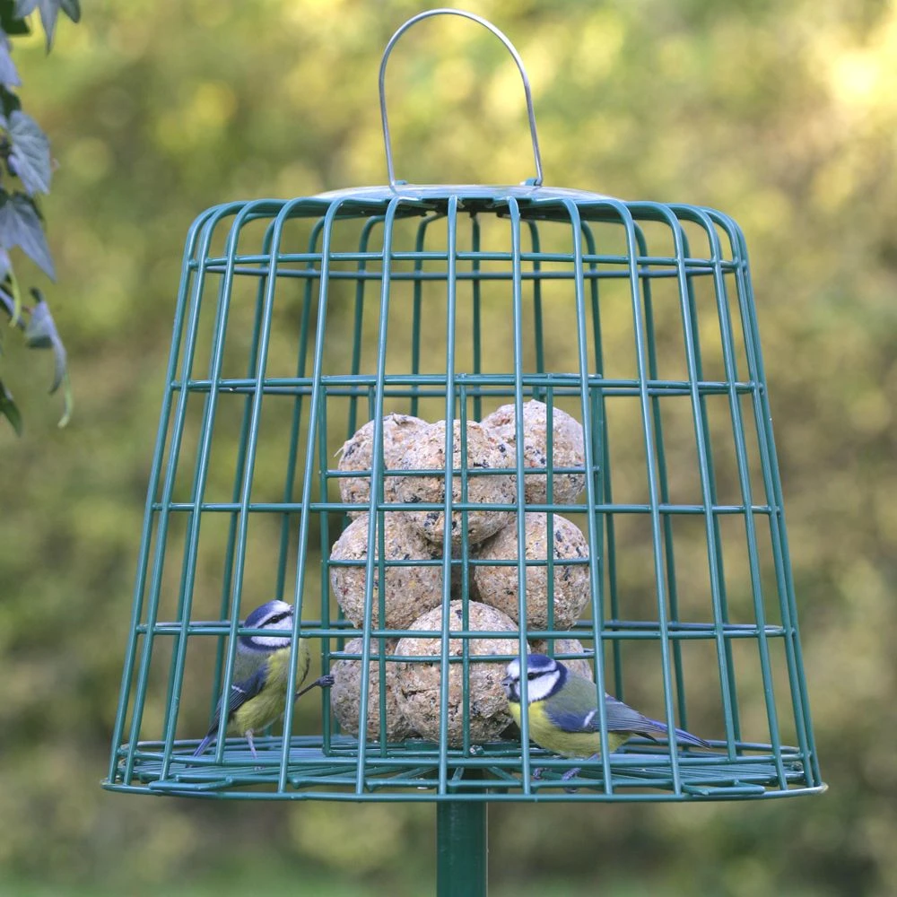 Multi-Schutzkäfig 6 Multi-Schutzkäfig - Image 4