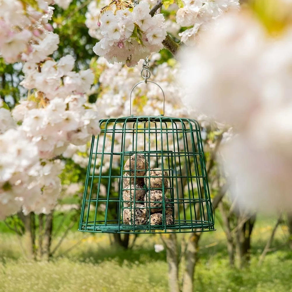 Multi-Schutzkäfig 5 Multi-Schutzkäfig - Image 3