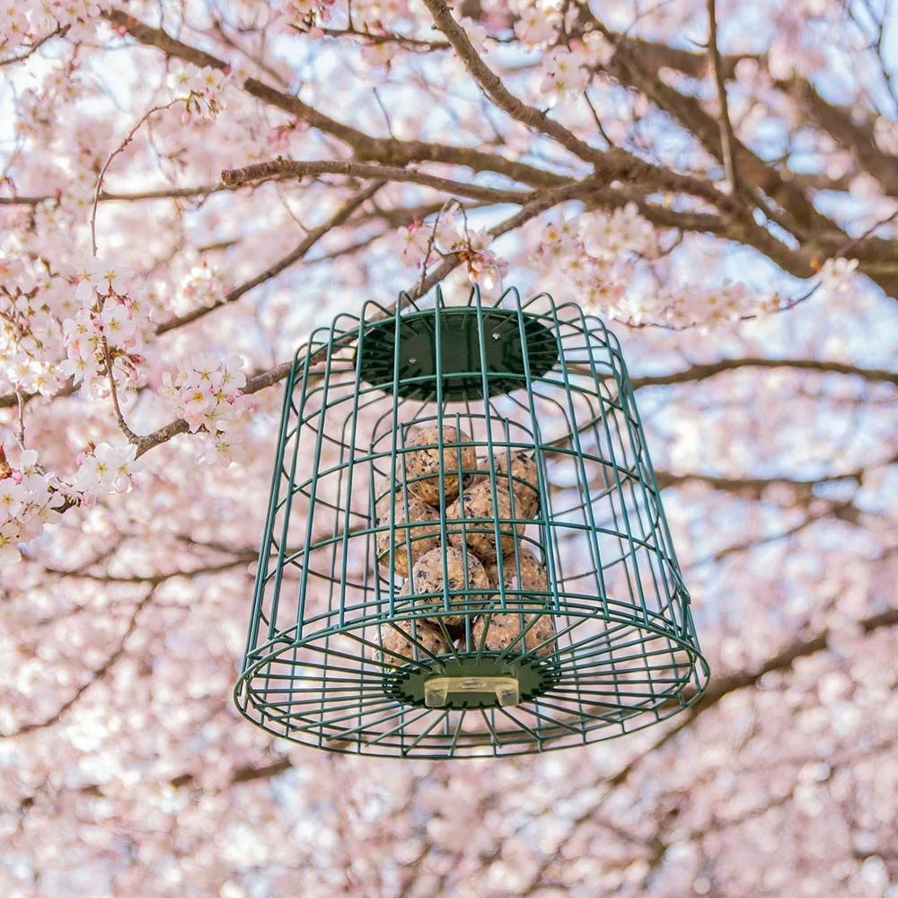 Multi-Schutzkäfig 4 Multi-Schutzkäfig - Image 2