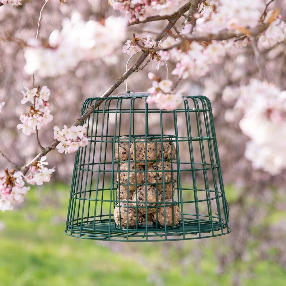 Multi-Schutzkäfig 3 Multi-Schutzkäfig