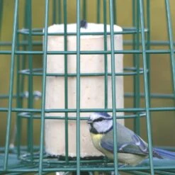 Multi-Schutzkäfig 13 Multi-Schutzkäfig -Vogel Futter Geschaft 94550 2