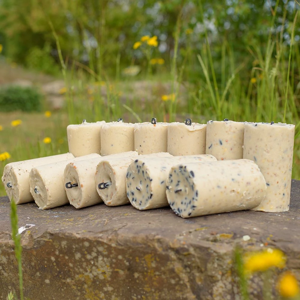 Variationspaket Mit 12 Energiekuchen 500 Ml 9 Variationspaket Mit 12 Energiekuchen 500 Ml - Image 7