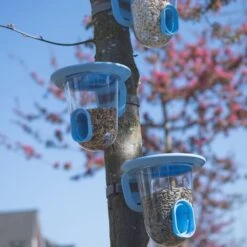 SingingFriend FeedR (Blau) 7 SingingFriend FeedR (Blau) -Vogel Futter Geschaft bdf4975 2