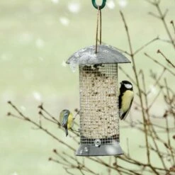 Erdnußsäule „Maximum“ 24 Cm -Vogel Futter Geschaft erdnusssaule maximum 24cm 33025 2 2