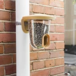 SingingFriend FeedR Braun -Vogel Futter Geschaft f002 regenpijp 2