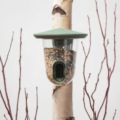 Vogel Futter Geschaft 11 Vogel Futter Geschaft -Vogel Futter Geschaft fr wg sleeve 2