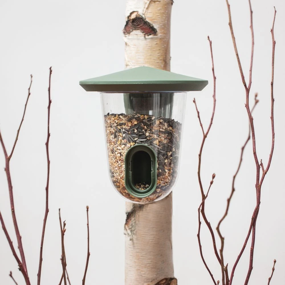 SingingFriend FeedR Dunkelgrün 4 SingingFriend FeedR Dunkelgrün – Bild 2