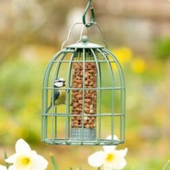 Erdnusssäule Mit Schutzkäfig „Compact“