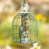 Futtersäule Mit Schutzkäfig „Compact“ -Vogel Futter Geschaft microsoftteams image 39