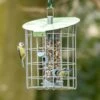 Futtersäule Mit Schutzkäfig „Roundhouse“ 2 Futtersäule Mit Schutzkäfig „Roundhouse“ -Vogel Futter Geschaft microsoftteams image 41