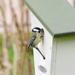 Nistkasten „Lausanne“ 32 Mm -Vogel Futter Geschaft nistkasten lausanne 90791 ah1042 1