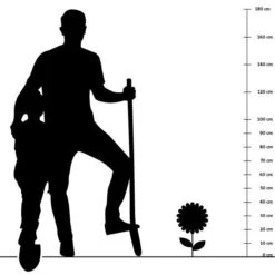 Orchideenprimel (Primula Viallii), 8 Stück -Vogel Futter Geschaft silhouette 40cm 11 1