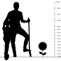 Echter Dost (Origanum Vulgare), 4 Stück -Vogel Futter Geschaft silhouette 50cm 3 1 2