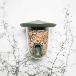 SingingFriend FeedR Dunkelgrün 8 SingingFriend FeedR Dunkelgrün -Vogel Futter Geschaft xb1a9804 2