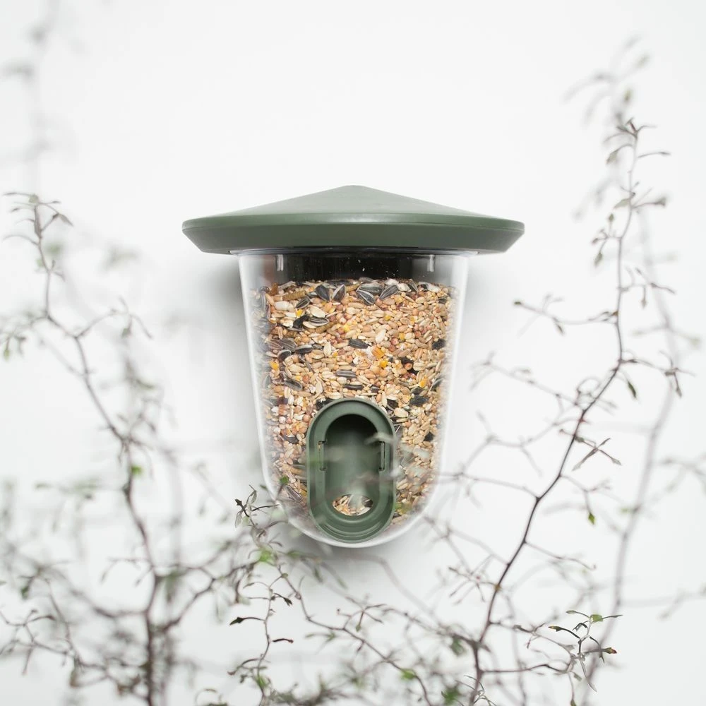 SingingFriend FeedR Dunkelgrün 5 SingingFriend FeedR Dunkelgrün – Bild 3